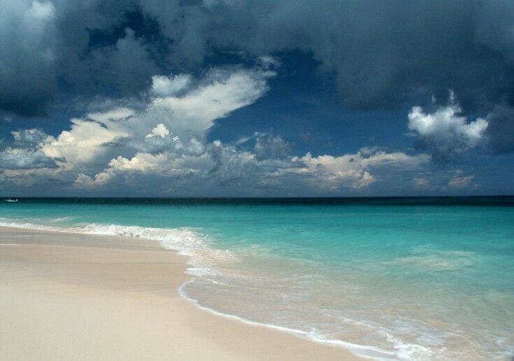 Click to See Next Image